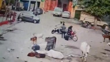 Kanpur: 2 UP Police Personnel Suspended After Viral Video Shows They Let Suspect Flee During Manhunt