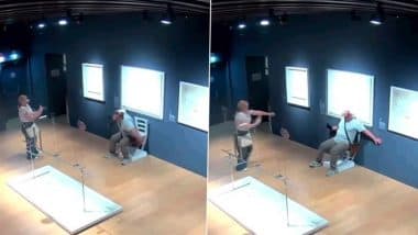 Man Sits on Swarovski Crystals-Studded ‘Van Gogh’ Chair for Photo at Palazzo Maffei Museum, Breaks It; Video Goes Viral