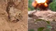 Major Naxal Plot Foiled in Bihar: 6–7 KG IED Recovered and Defused in Munger’s Bheem Bandh Forest by Security Forces (Watch Video)