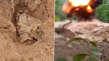 Major Naxal Plot Foiled in Bihar: 6–7 KG IED Recovered and Defused in Munger’s Bheem Bandh Forest by Security Forces (Watch Video)