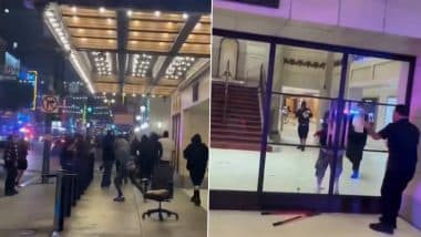 US: Apple Store and Jordan Flagship Looted Amid Anti-ICE Protests in Downtown Los Angeles, Videos Surface