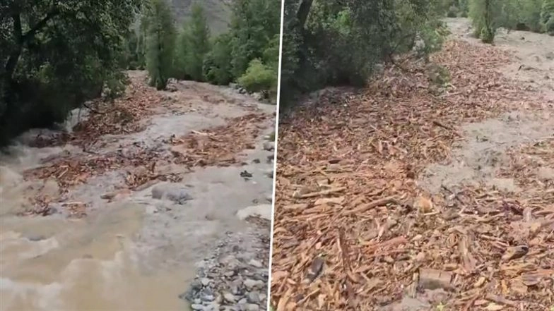 ‘Not Scenes From Pushpa 3 Movie but Kullu’: Tons of Wooden Debris Seen Coming Down With Flash Floods in Beas River in Himachal Pradesh, Video Goes Viral
