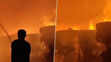 Bhopal Fire: Major Blaze Erupts at Factory in Madhya Pradesh’s Bairagarh, Video Shows Raging Flames