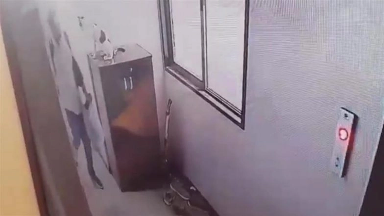 Mumbai Animal Cruelty Case: Man Caught on CCTV Throwing Cat From 9th Floor in Malvani Area, Animal Dies on Spot (Disturbing Video)