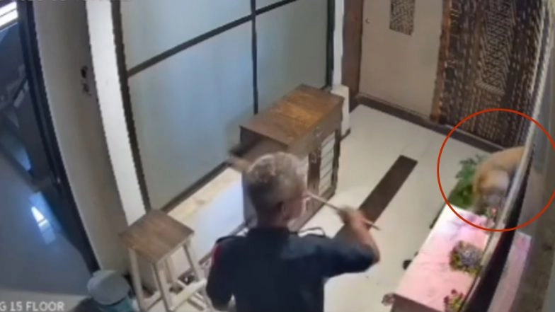 Mumbai: Dog Jumps to Death From 15th Floor After Being Chased by Security Guard in Kandivali Building; FIR Filed As Video Goes Viral