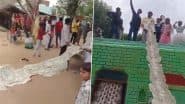 Rajasthan Shocker: Robbers Loot INR 14.5 Lakh Currency Garland at Gunpoint After Wedding in Bhiwadi, Video and Photos Surface
