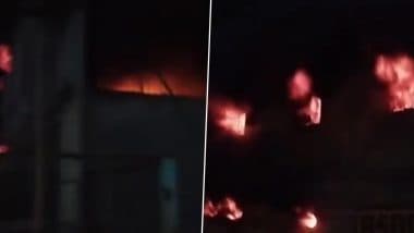 Delhi Fire: Massive Blaze Erupts at Factory in Bawana Industrial Area, 22 Fire Tenders Rush to Site (Watch Video)
