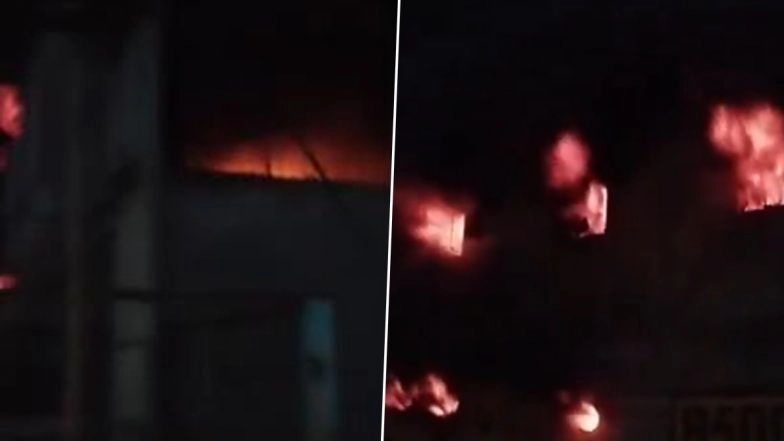 Fire Erupts in Factory at Delhi's Bawana