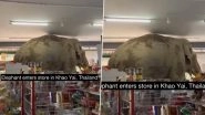 Wildlife Meets Snack Aisle: Wild Elephant Breaks Into Shop Near Khao Yai National Park, Picks Out Crackers and Walks Away in Thailand; Videos Go Viral