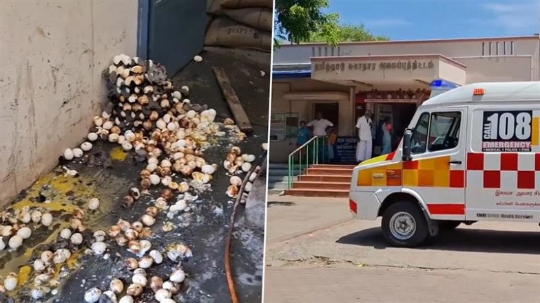 Tamil Nadu Gas Cylinder Blast: 2 Cooks Injured After LPG Cylinder Explodes at Government School Canteen in Lingavadi, Probe Launched (Watch Video)