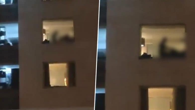 Sex in Jaipur Hotel Room Sparks Traffic Jam As Crowd Gathers To Watch Act From Nearby Flyover; Video Goes Viral