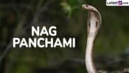 When Is Nag Panchami 2025? Know Date, Rituals, History and Significance To Celebrate the Festival Dedicated To Serpent Worship