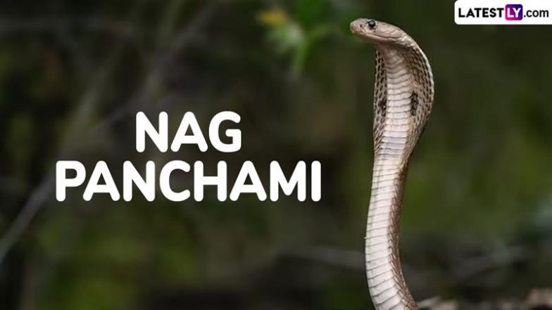 Nag Panchami 2025 Date: All You Need To Know About the Festival