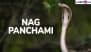 When Is Nag Panchami 2025? Know Date, Rituals, History and Significance To Celebrate the Festival Dedicated To Serpent Worship