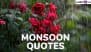 Monsoon 2025 Quotes: Meaningful Sayings and Messages To Embrace the Raindrops, Romance and Reflection of the Cozy Season With Words That Warm Your Soul