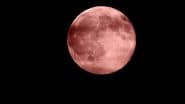 Strawberry Moon 2025: What Makes June’s Full Moon Rare? The ‘Lunar Standstill’ Phenomenon and Other Details About the Celestial Event Explained
