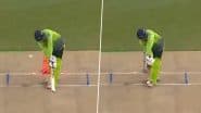 Zia-ul-Haq Knocks Over Heinrich Klaasen With A Perfect Yorker During Texas Super Kings vs Seattle Orcas MLC 2025 Match (Watch Video)Heinrich Klaasen