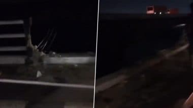 Bihar Road Accident: SUV Plunges Into Ganga From Veer Kunwar Singh Setu, Rescue Operations Underway (Watch Video)