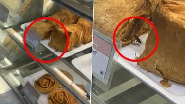 Cockroach Crawls Over Paneer Rolls at Mumbai’s Theobroma Outlet; Shocking Video Goes Viral