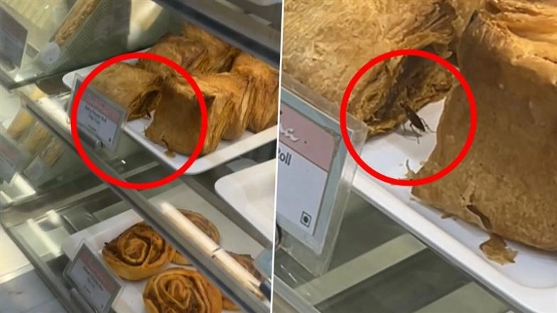 Cockroach Crawls Over Paneer Rolls at Mumbai’s Theobroma Outlet; Shocking Video Goes Viral