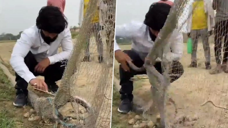 Jaunpur: YouTuber Murliwale Hausla Critical After Being Bitten by Cobra During Rescue in Uttar Pradesh, Video Goes Viral