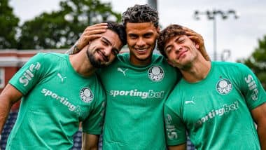 FIFA Club World Cup 2025: Brazil’s Palmeiras Faces Uphill Battle To Win First Crown