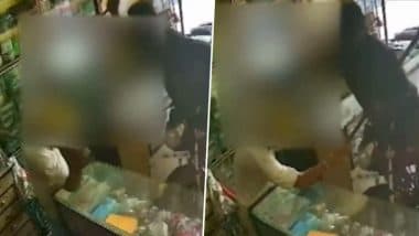 Balodabazar: Drunk Man Stabs Differently-Abled Father 15 Times Inside Shop in Chhattisgarh; Arrested After CCTV Video Captures Shocking Attack