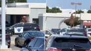 California: Naked Man Caught Dancing on Police Car in Antioch, Shocks Bystanders, Video Goes Viral