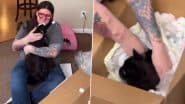 'Unboxing My Dead Cat': Woman Freeze-Dries Her Deceased Cat to 'Honour' and Display It on Mantle, Video Goes Viral