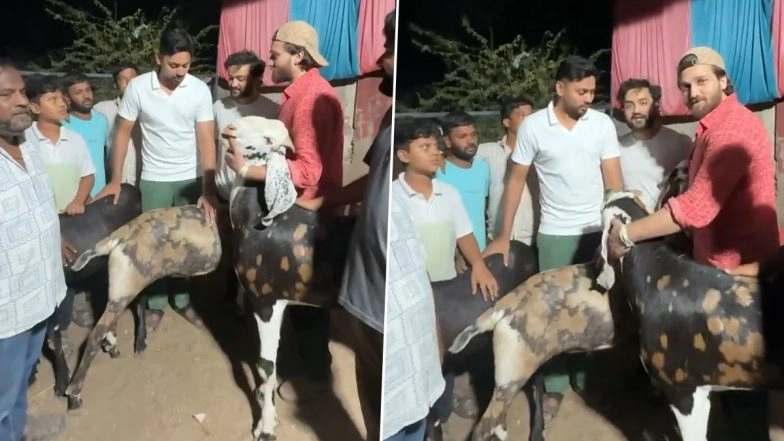 Bakrid 2025: Cricketer Avesh Khan Buys 3 Goats Ahead of Eid al-Adha Festival, Video Goes Viral