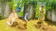 World Environment Day 2025: How Kangana Ranaut Strengthened PM Narendra Modi’s Initiative ‘Ek Ped Maa Ke Naam’ (See Pics)