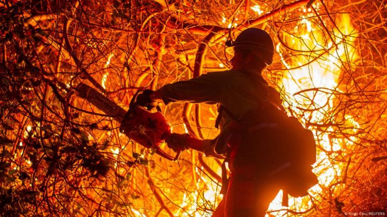 The Woman Who Fought Giant Wildfires and Became a Hotshot