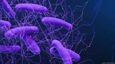 Fecal Transplants: Study is a 'wake-up Call' for the Field