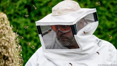 How Dangerous Are Invasive Insects in Europe?