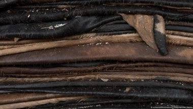 Are Designer Handbags Linked to Illegal Deforestation?