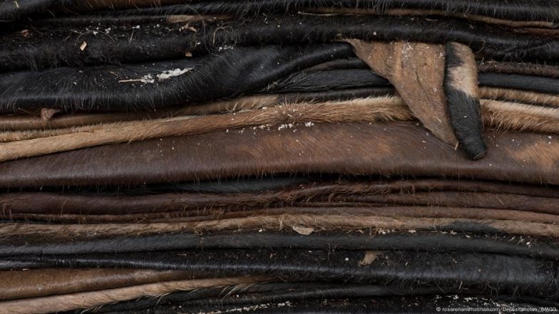 Are Designer Handbags Linked to Illegal Deforestation?