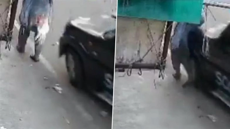 Barabanki Accident Caught on Camera: Morning Walk Turns Tragic as Woman Flung Into Air After Speeding Scorpio Rams Her from Behind, Driver Flees Scene; Video Surfaces