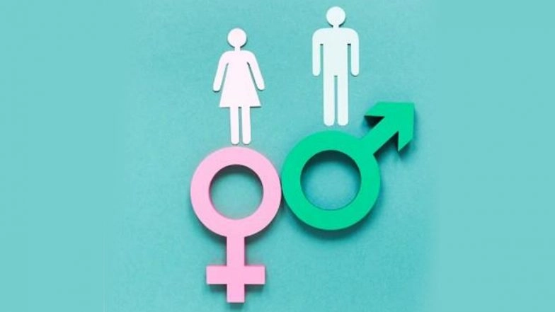 Himachal Pradesh Sex Ratio: Government Says State Records Significant Improvement in Sex Ratio, Touches 964 in 2024