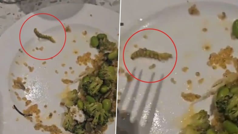 Insect in Salad: IAS Couple’s Fine-Dining Experience Ruined After Finding Caterpillar in Vegetable Salad at the House of Celeste in Gurugram, Video Surfaces