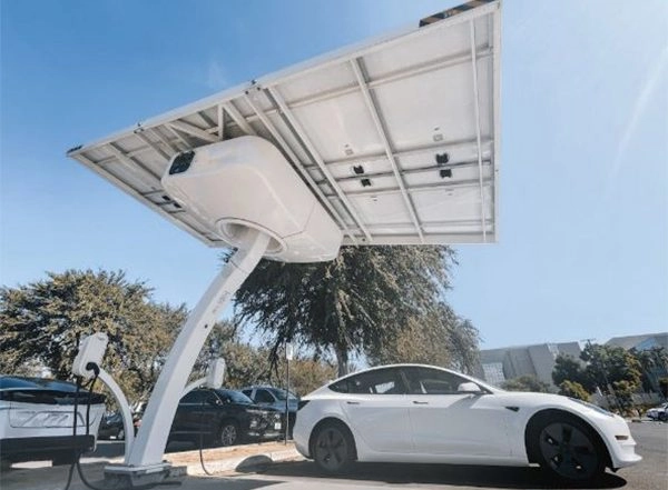 World News | Electric Cars Key to India's Energy Independence, Says IEA Chief