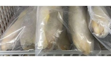 World News | 40 Per Cent of China-imported Fish Containing Banned Drug Retrieved in Taiwan; Tighter Border Checks Imposed
