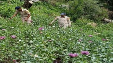 India News | HP Police Conducts Anti-drug Campaign in State, Recover Drugs; Several Cases Registered