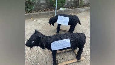 India News | MP: Hindu Organisation Appeals to Muslim Community to Make Symbolic Sacrifices on Bakrid Using Eco-friendly Goats Made of Clay