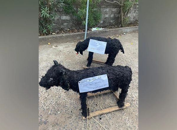 India News | MP: Hindu Organisation Appeals to Muslim Community to Make Symbolic Sacrifices on Bakrid Using Eco-friendly Goats Made of Clay