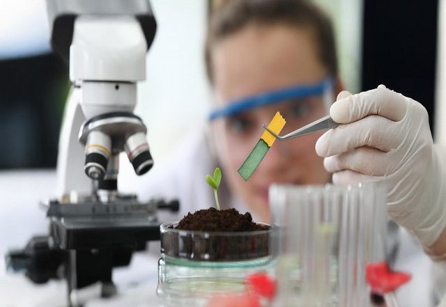 Business News | Medical Biotechnology in the Age of Personalised Medicine: Preparing Scientists for the Future of Healthcare