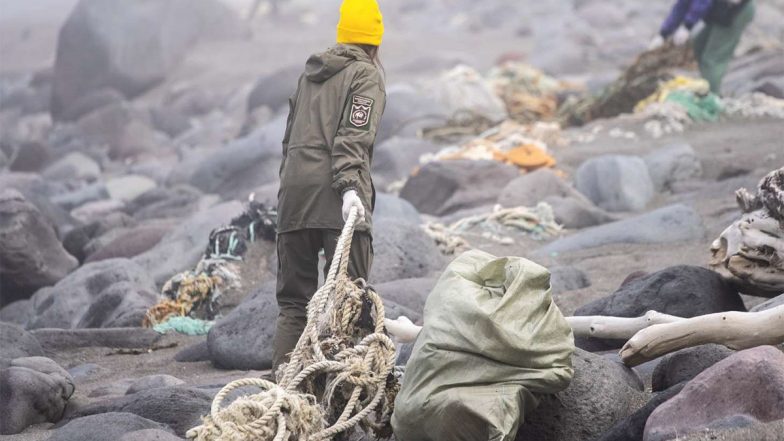 Business News | Yandex Open-sources Neural Network for 4x Faster Cleanup of Remote Coastlines