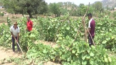 India News | Villagers in the Darhal Region Resume Farming After Cessation of Hostilities