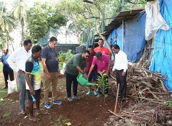 Sports News | Mumbai Cricket Association Organises Tree Plantation Drive at Cross Maidan on World Environment Day