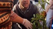 India News | Uttarakhand CM Pushkar Singh Dhami Plants Tree in Pant Park; Participates in Swachhata Abhiyan