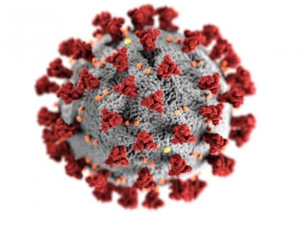 India News | Uttarakhand: 7 People Test Positive for COVID-19 in Dehradun